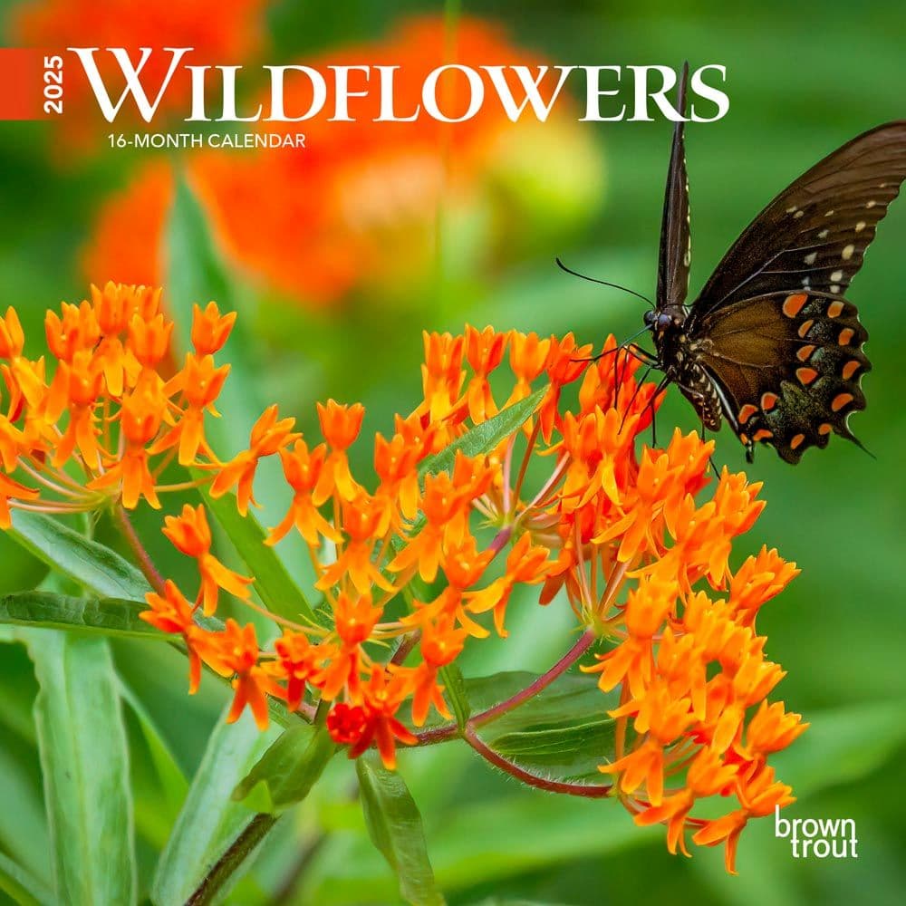 Wildflowers 2025 Mini Wall Calendar Main Product Image width=&quot;1000&quot; height=&quot;1000&quot;