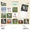 image American Bulldogs 2025 Wall Calendar First Alternate Image width=&quot;1000&quot; height=&quot;1000&quot;