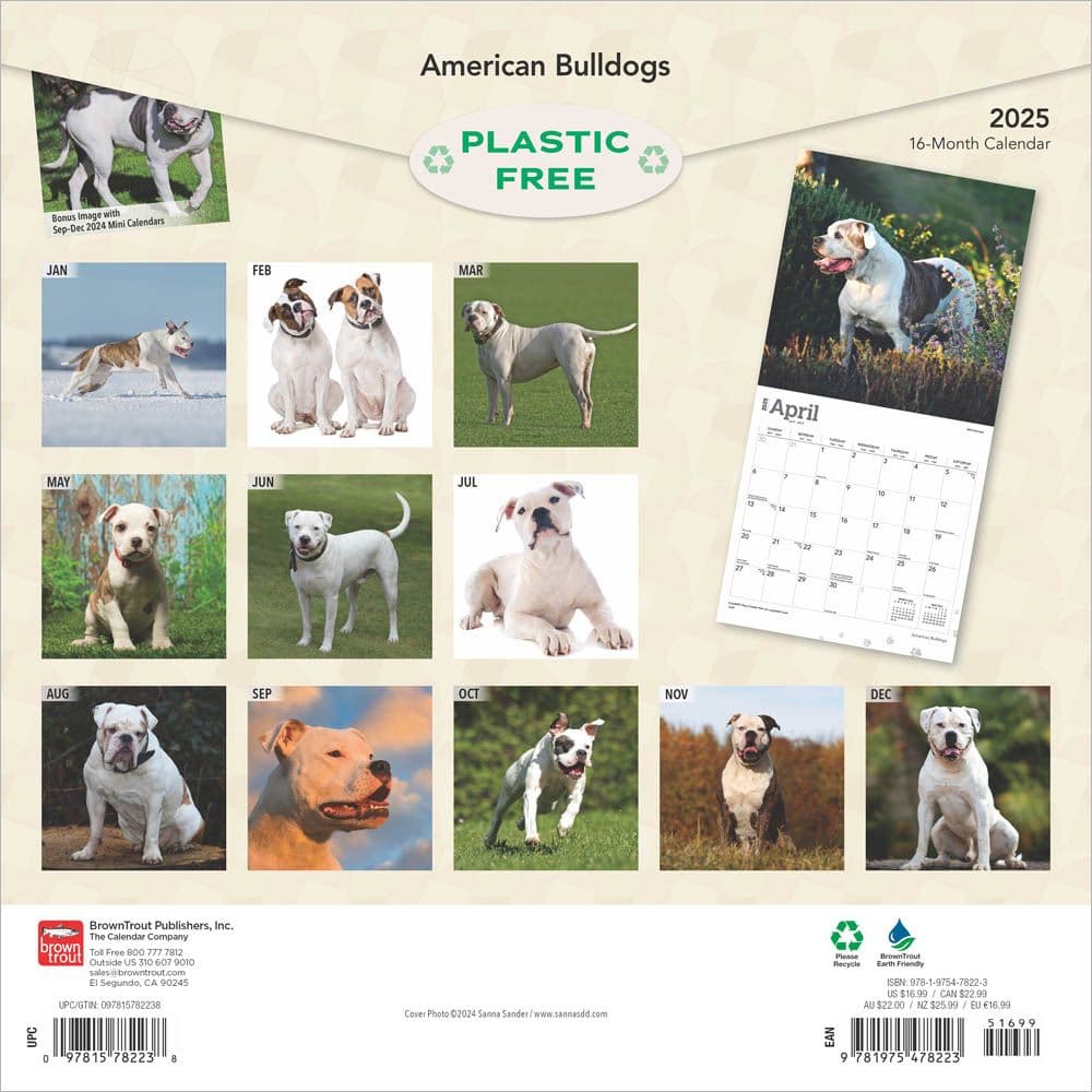 American Bulldogs 2025 Wall Calendar First Alternate Image width=&quot;1000&quot; height=&quot;1000&quot;