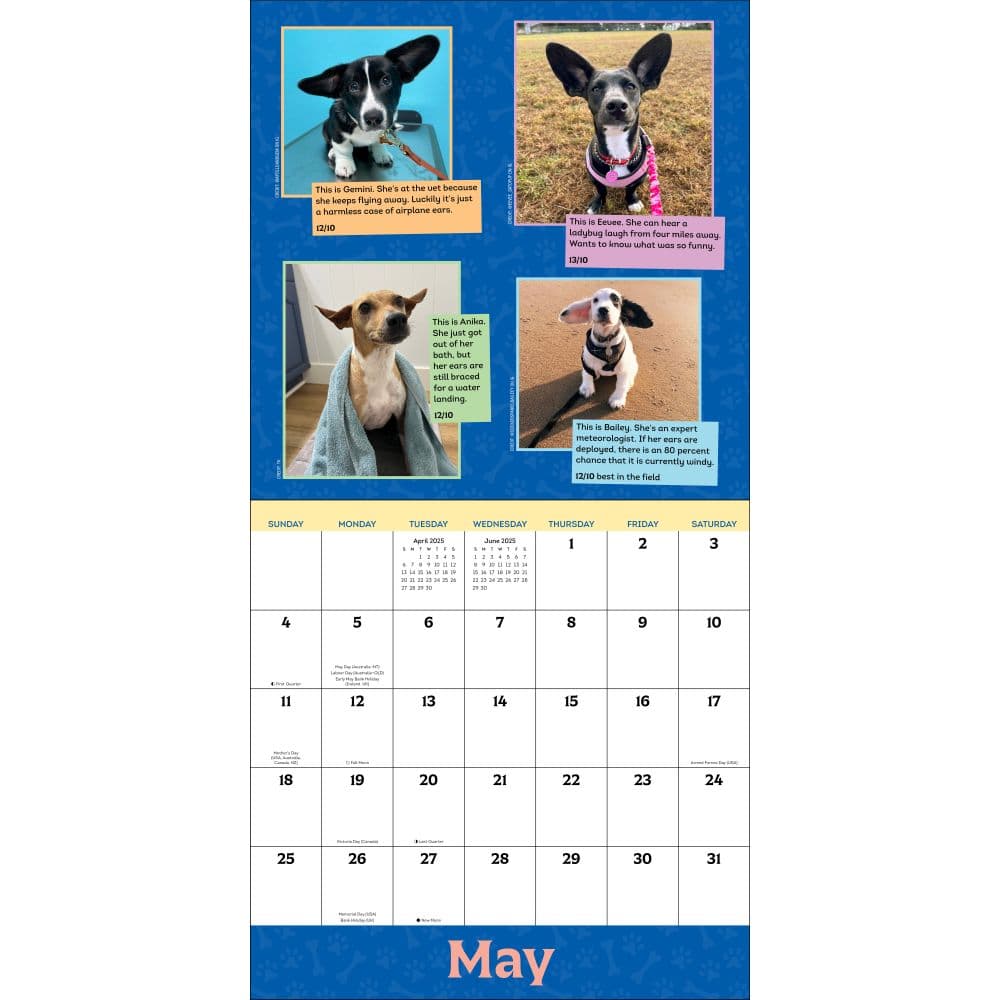 We Rate Dogs 2025 Wall Calendar First Alternate Image width=&quot;1000&quot; height=&quot;1000&quot;