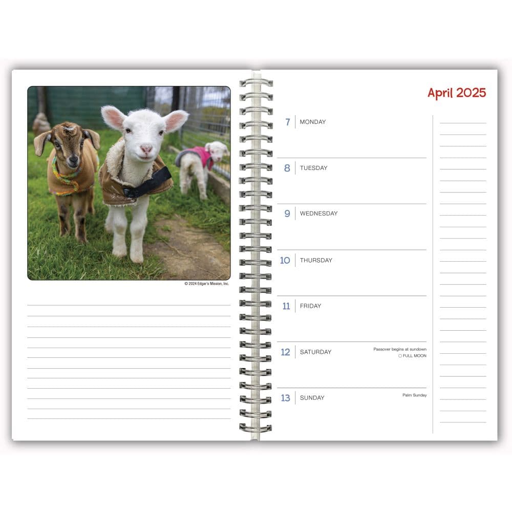 Lambies in Jammies Goats in Coats 2025 Engagement Planner Fourth Alternate Image width=&quot;1000&quot; height=&quot;1000&quot;