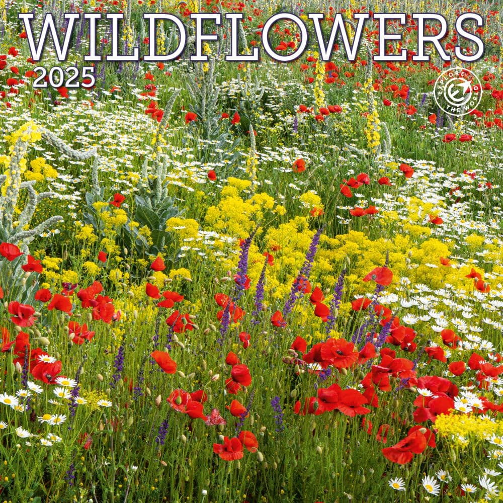 image Wildflowers 2025 Wall Calendar Main Image