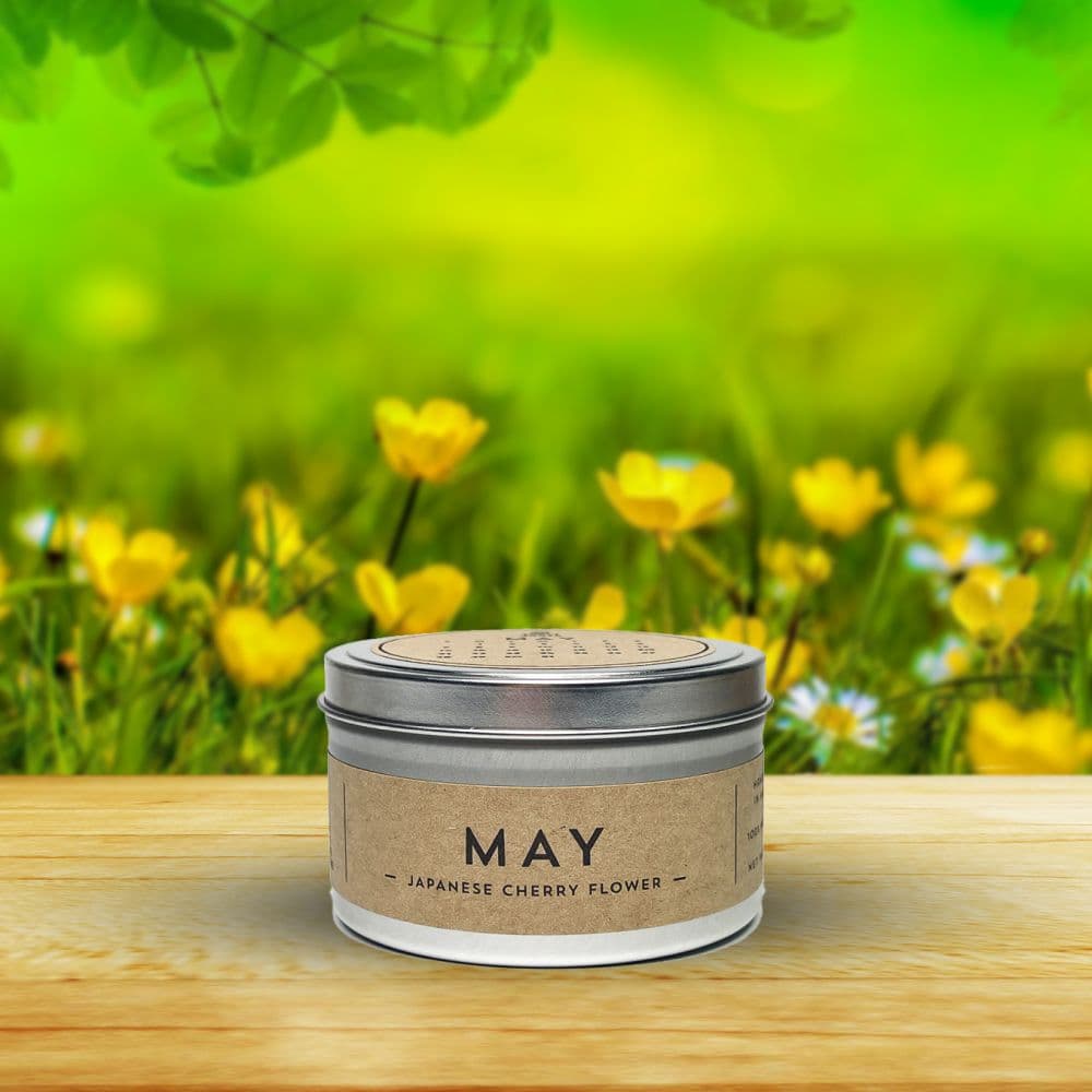 May Candle -  Japanese Cherry Flower front image
