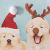 image Photo Puppies 10 Count Boxed Christmas Cards Fourth Alternate Image width=&quot;1000&quot; height=&quot;1000&quot;