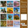 image Trees 2024 Wall Calendar First Alternate Image width=&quot;1000&quot; height=&quot;1000&quot;
