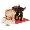 image Die Cut Two Dogs (Pug &amp; Frenchie) Anniversary Card Sixth Alternate Image width=&quot;1000&quot; height=&quot;1000&quot;