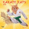 image Karate Cats 2025 Mini Wall Calendar Main Image