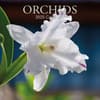 image Orchids 2025 Wall Calendar Main Product Image width=&quot;1000&quot; height=&quot;1000&quot;
