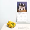 image Puppy Pals Plato 2025 Wall Calendar Fourth Alternate Image width=&quot;1000&quot; height=&quot;1000&quot;