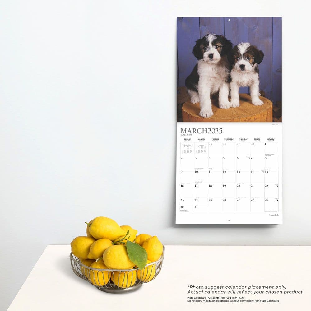 Puppy Pals Plato 2025 Wall Calendar Fourth Alternate Image width=&quot;1000&quot; height=&quot;1000&quot;