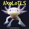 image Axolotls 2025 Wall Calendar Main Product Image width=&quot;1000&quot; height=&quot;1000&quot;
