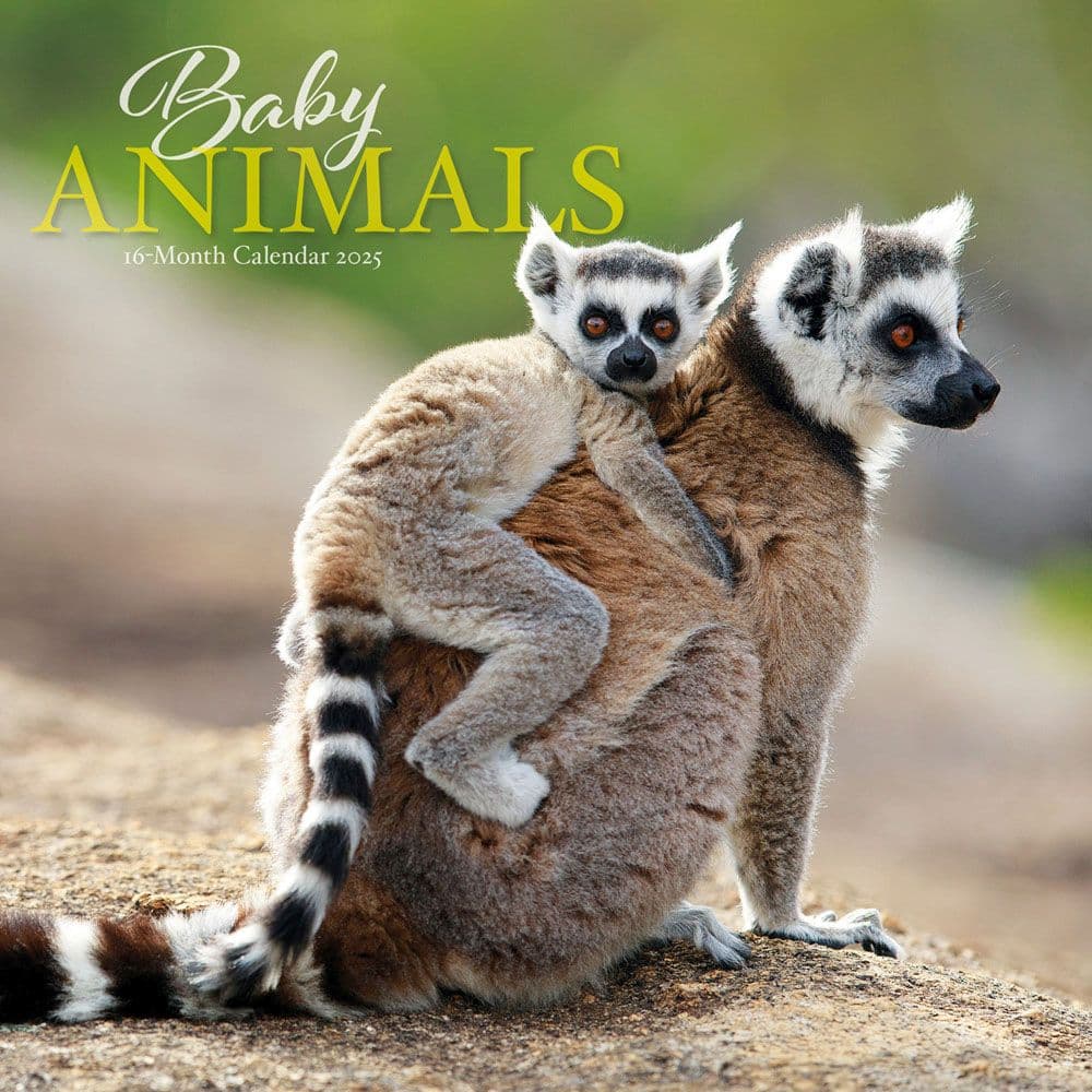 image Baby Animals 2025 Wall Calendar   Main Image