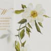 image Wild Roses Sympathy Card Fifth Alternate Image width=&quot;1000&quot; height=&quot;1000&quot;