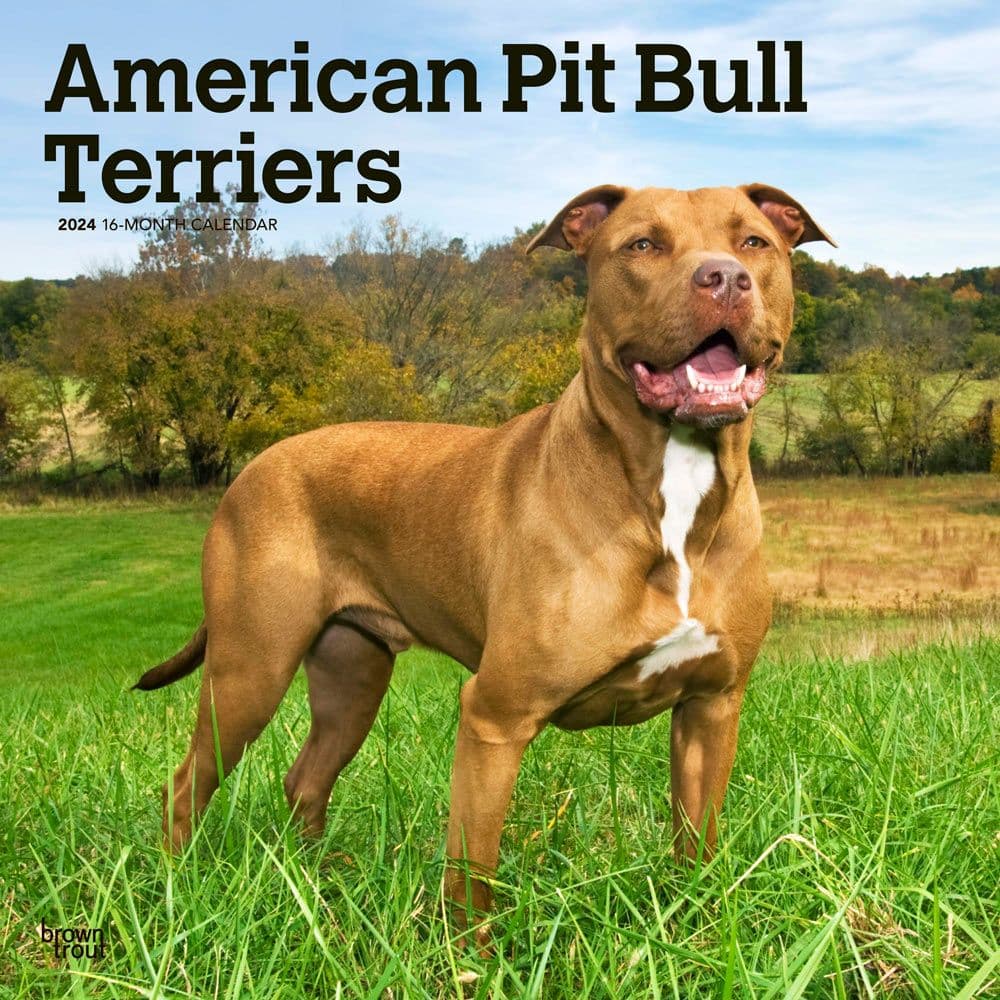 Pit Bull Terriers 2024 Wall Calendar Main Product Image width=&quot;1000&quot; height=&quot;1000&quot;