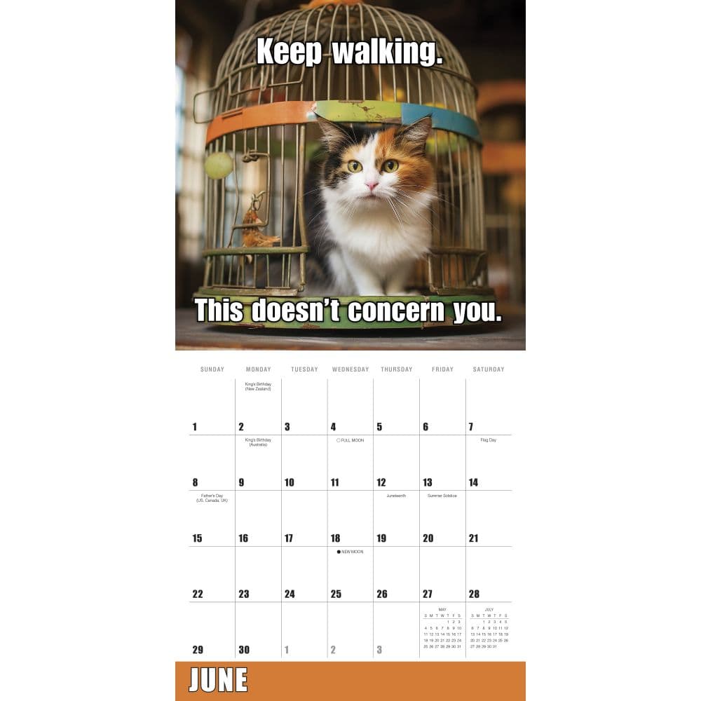 Meow Memes 2025 Wall Calendar Second Alternate Image width=&quot;1000&quot; height=&quot;1000&quot;