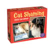 image Cat Shaming 2025 Desk Calendar Main Product Image width=&quot;1000&quot; height=&quot;1000&quot;