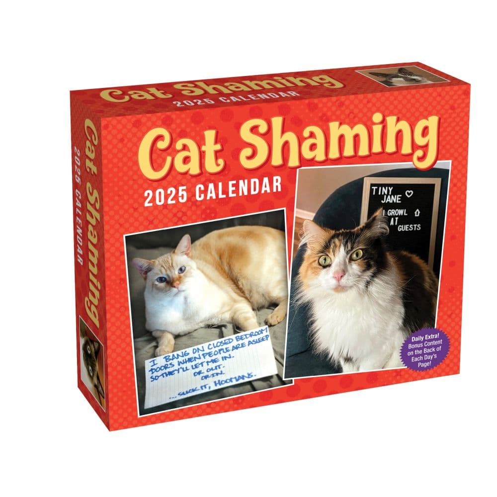 Cat Shaming 2025 Desk Calendar Main Product Image width=&quot;1000&quot; height=&quot;1000&quot;