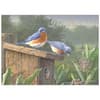 image Songbirds Special Edition 2025 Wall Calendar Fourth Alternate Image width=&quot;1000&quot; height=&quot;1000&quot;
