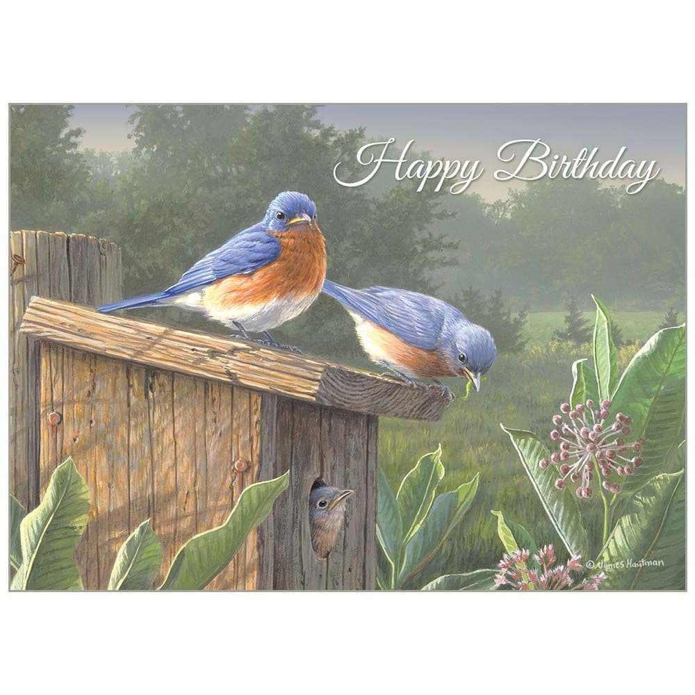 Songbirds Special Edition 2025 Wall Calendar Fourth Alternate Image width=&quot;1000&quot; height=&quot;1000&quot;