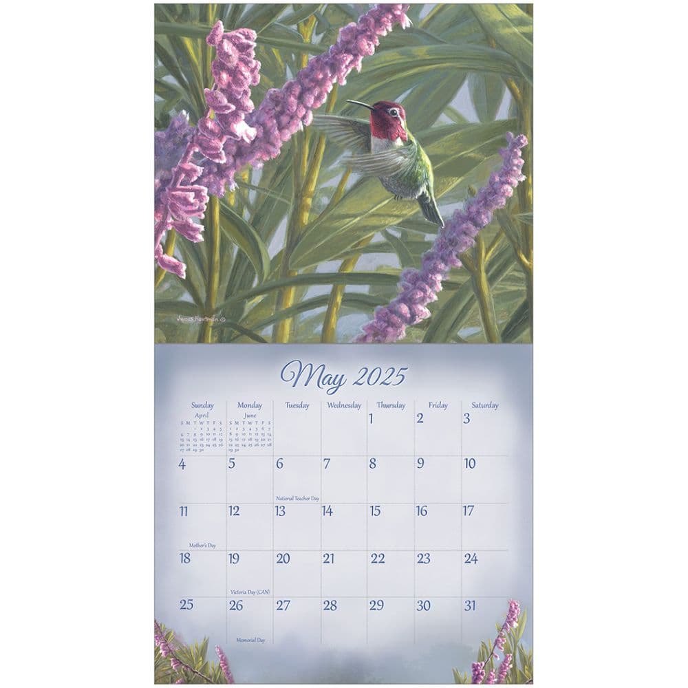 Songbirds Special Edition 2025 Wall Calendar Second Alternate Image width=&quot;1000&quot; height=&quot;1000&quot;