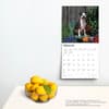 image Pit Bull Terriers 2024 Wall Calendar Third Alternate Image width=&quot;1000&quot; height=&quot;1000&quot;