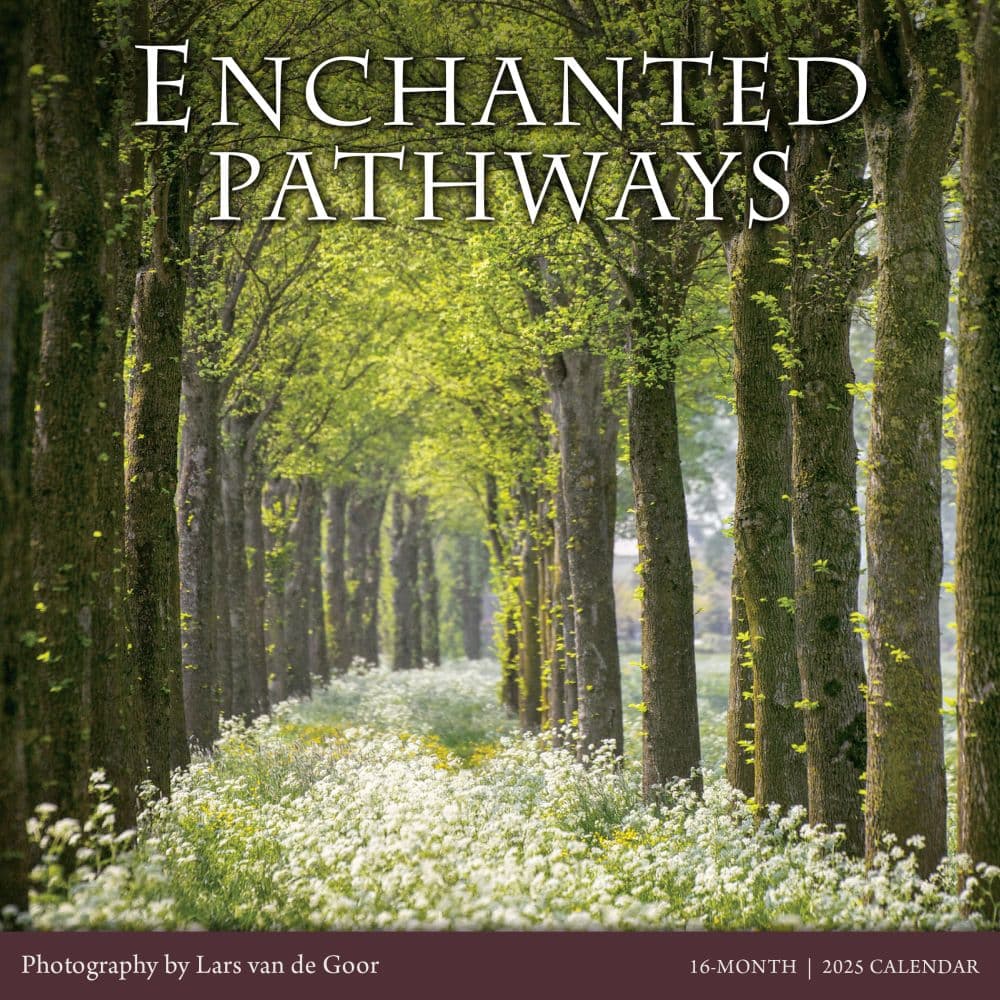 Enchanted Pathways Photography 2025 Wall Calendar Main Product Image width=&quot;1000&quot; height=&quot;1000&quot;