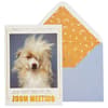 image Zoom Meeting Dog Friendship Card Main Product Image width=&quot;1000&quot; height=&quot;1000&quot;