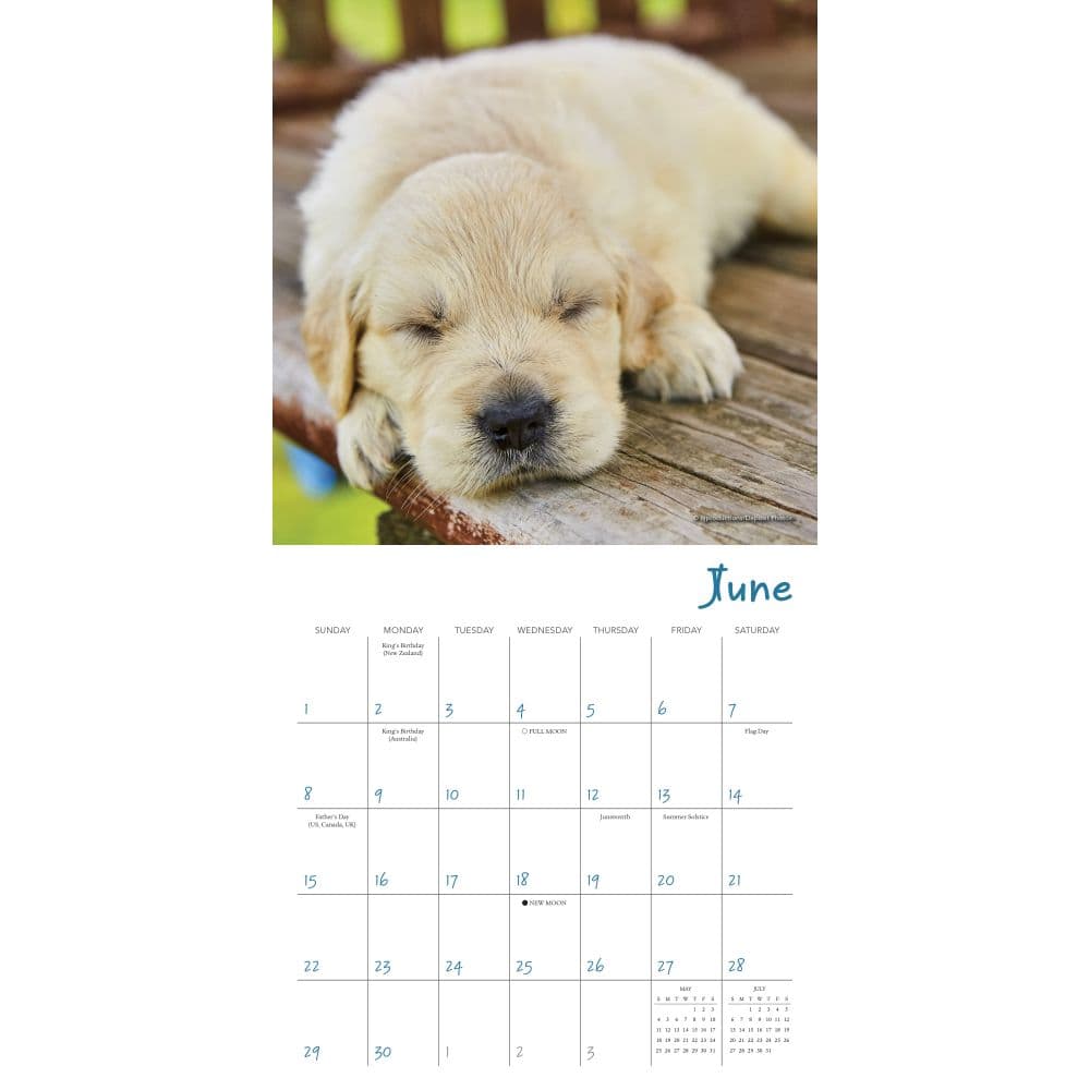 Pooped Puppies 2025 Mini Wall Calendar Second Alternate Image width=&quot;1000&quot; height=&quot;1000&quot;