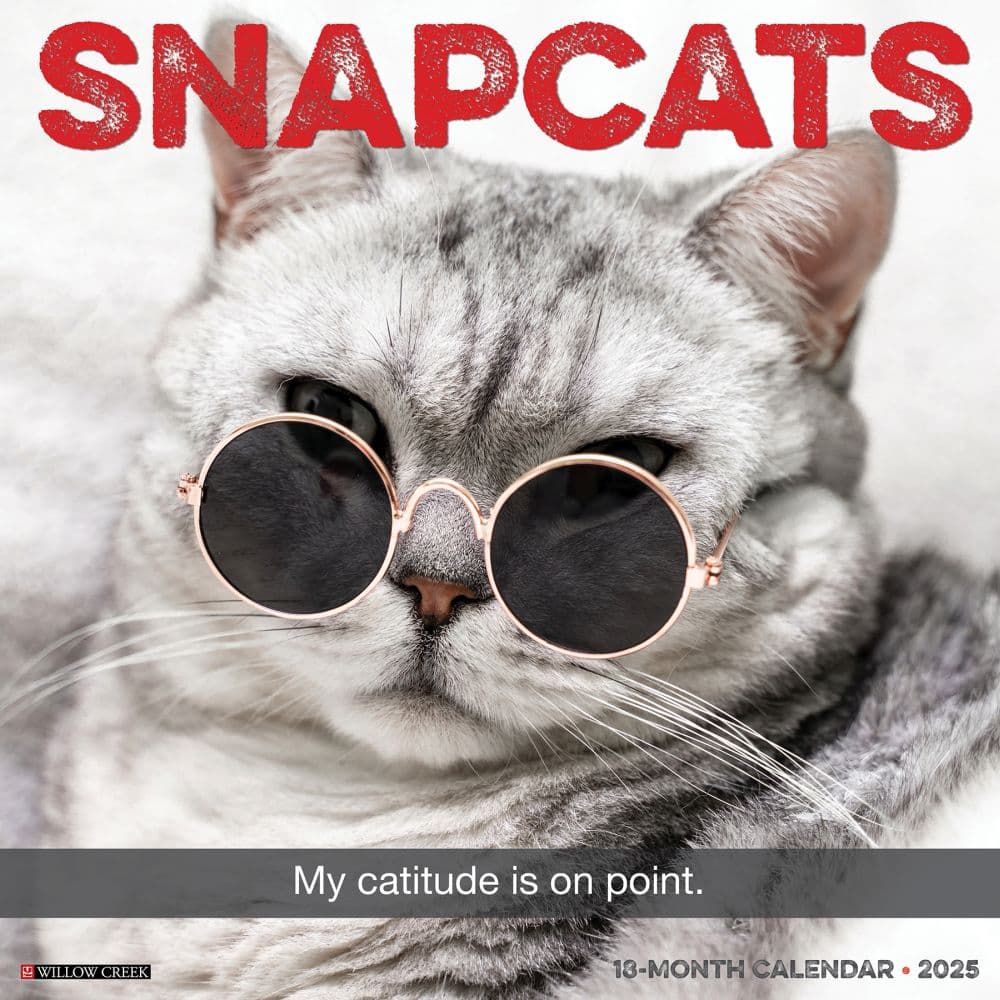 Snapcats 2025 Wall Calendar Main Image