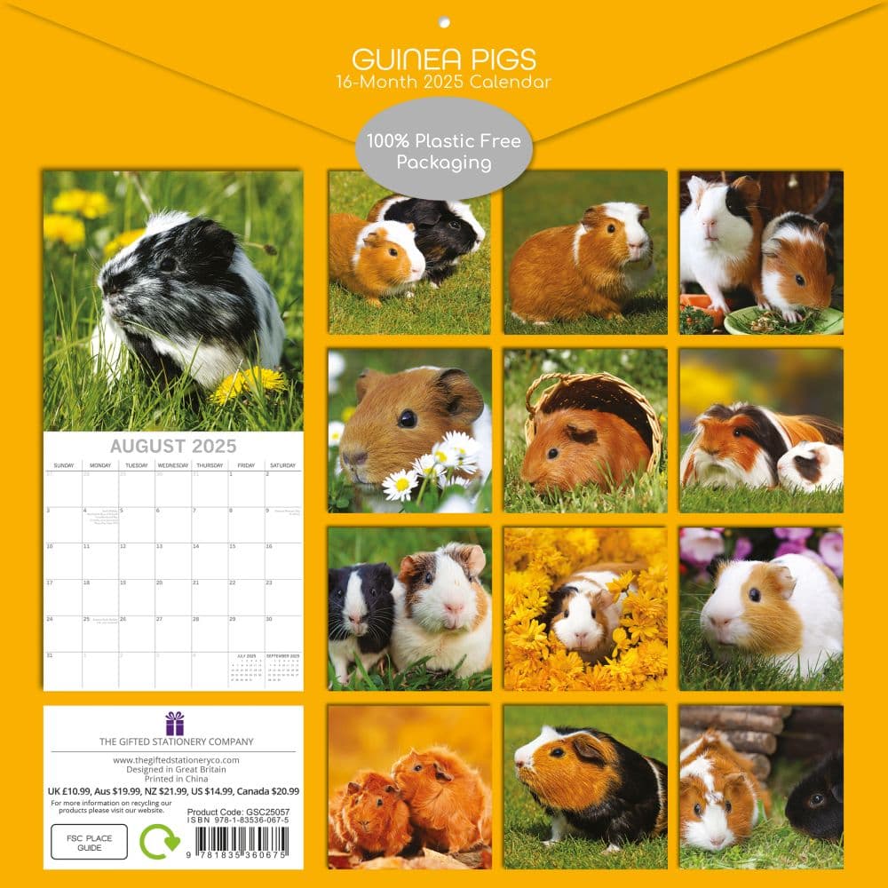 Guinea Pigs 2025 Wall Calendar First Alternate Image width=&quot;1000&quot; height=&quot;1000&quot;