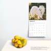 image Samoyeds 2025 Wall Calendar