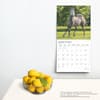 image Magnificent Horses Plato 2025 Wall Calendar