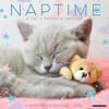 image Naptime Cats 2025 Wall Calendar Main Product Image width=&quot;1000&quot; height=&quot;1000&quot;