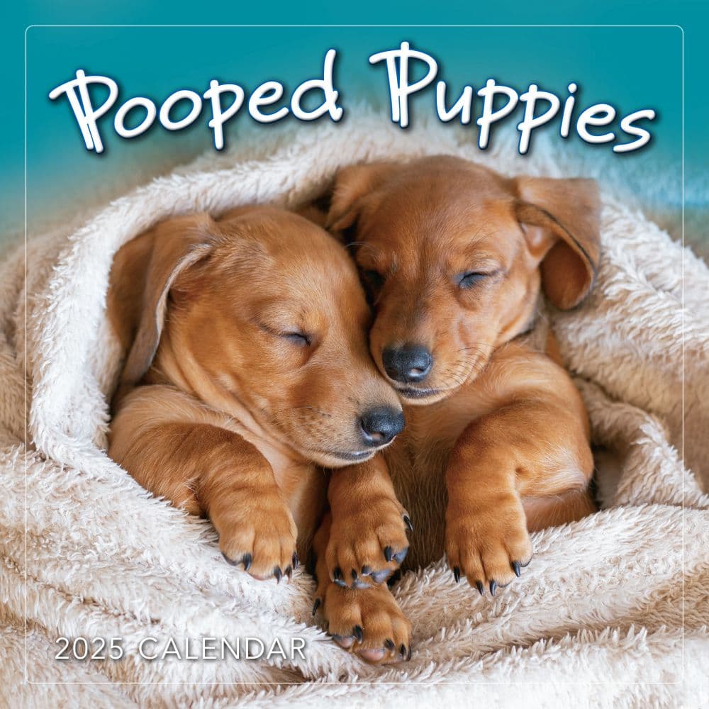 Pooped Puppies 2025 Mini Wall Calendar Main Product Image width=&quot;1000&quot; height=&quot;1000&quot;