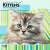 image Kittens Love of 2025 Mini Wall Calendar Main Product Image width=&quot;1000&quot; height=&quot;1000&quot;