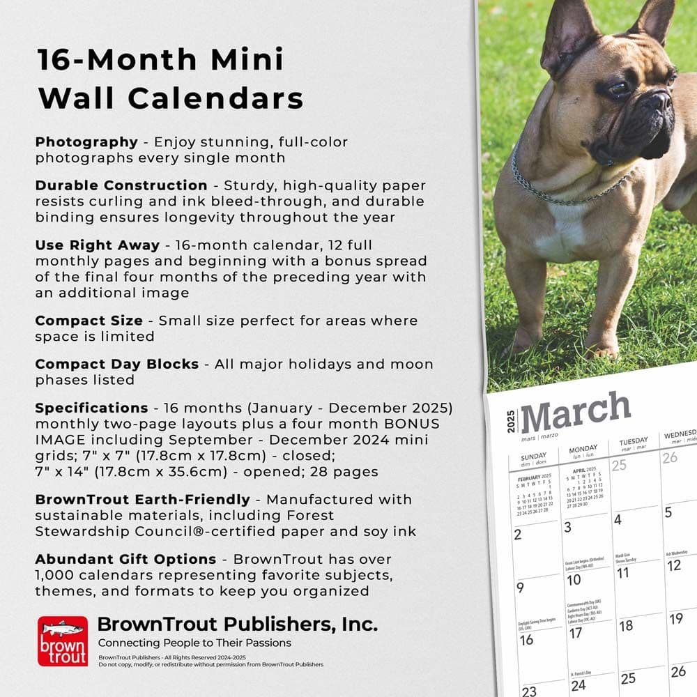 French Bulldogs 2025 Mini Wall Calendar Fifth Alternate Image width=&quot;1000&quot; height=&quot;1000&quot;