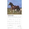 image Clydesdales 2025 Wall Calendar