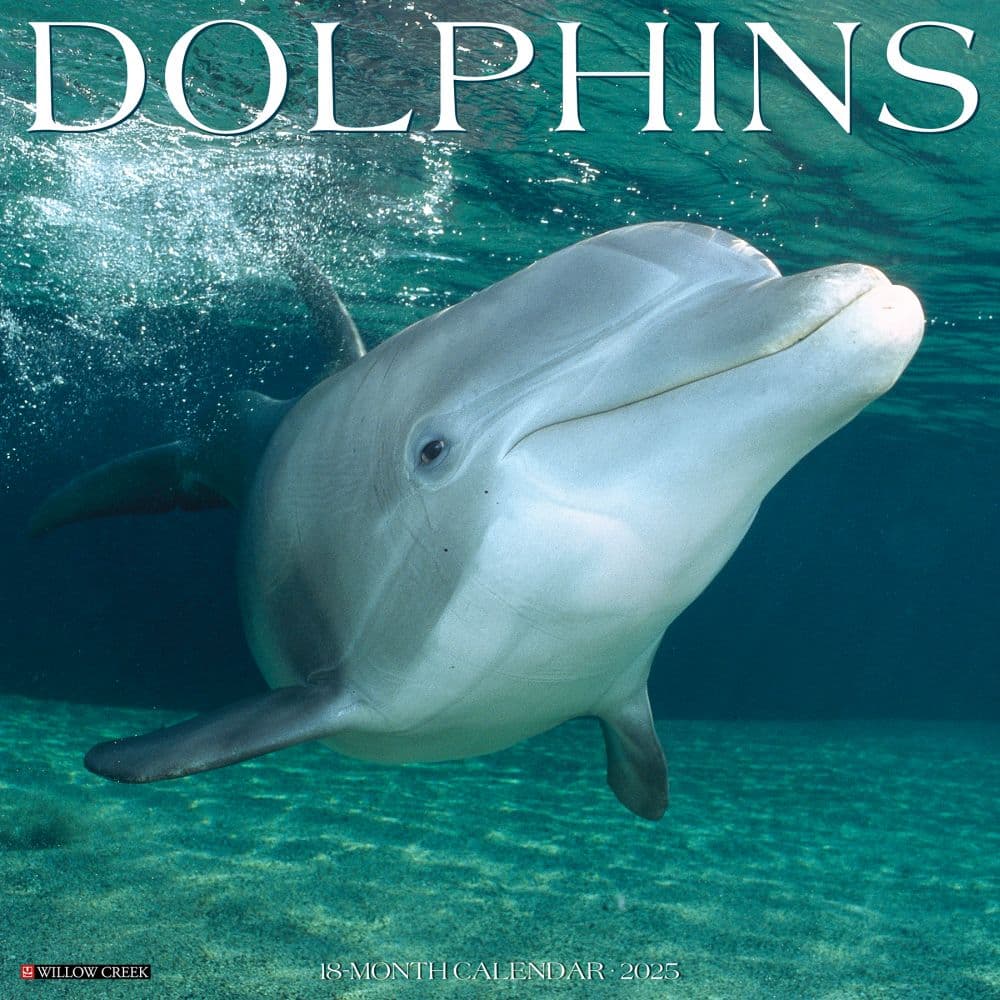 image Dolphins 2025 Wall Calendar   Main Image