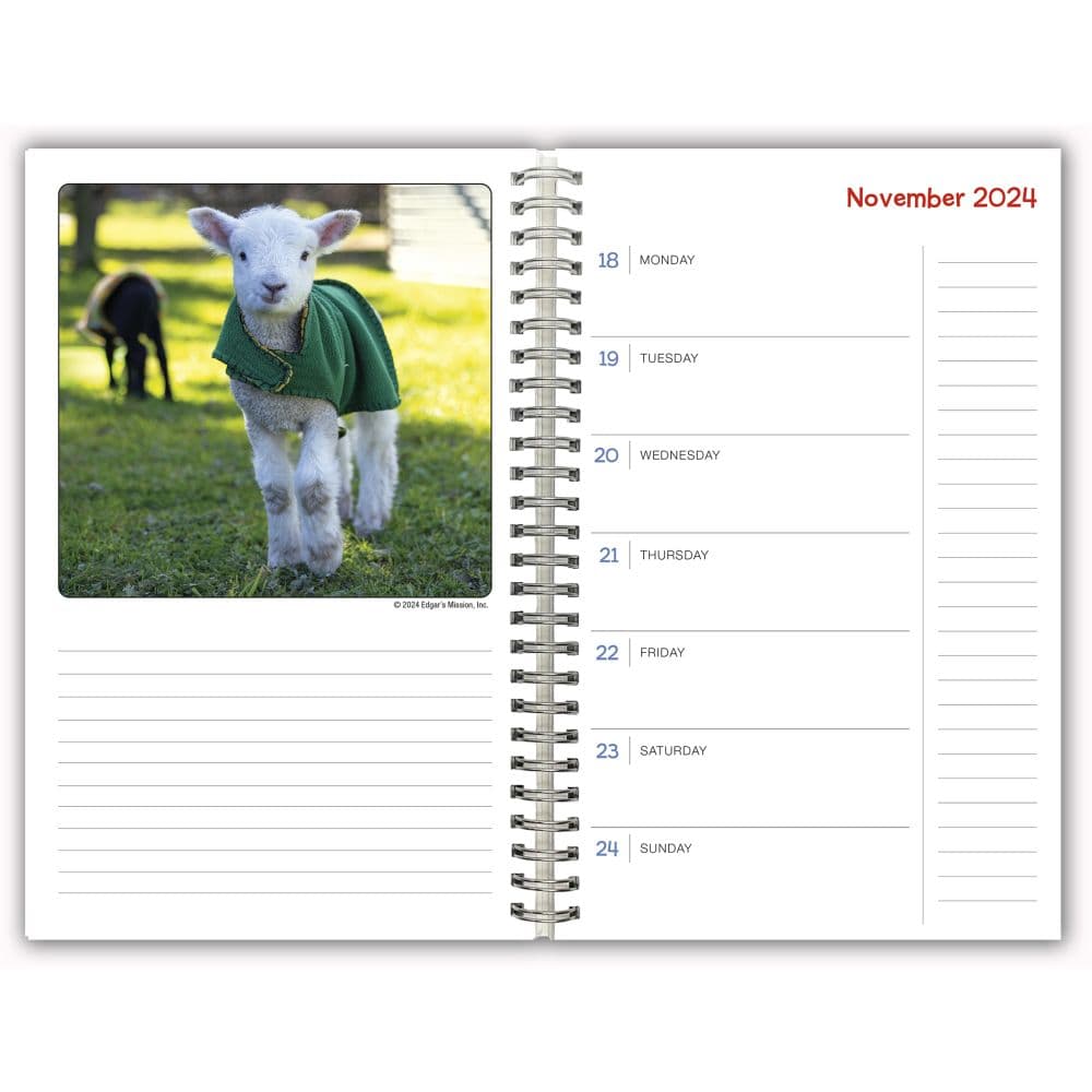Lambies in Jammies Goats in Coats 2025 Engagement Planner Fifth Alternate Image width=&quot;1000&quot; height=&quot;1000&quot;
