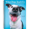 image What Dogs Teach Us 2025 Engagement Planner Main Image