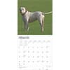 image American Bulldogs 2025 Wall Calendar Second Alternate Image width=&quot;1000&quot; height=&quot;1000&quot;