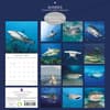 image Sharks 2025 Wall Calendar First Alternate Image width=&quot;1000&quot; height=&quot;1000&quot;