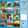 image Elephant Families 2024 Wall Calendar First Alternate Image width=&quot;1000&quot; height=&quot;1000&quot;