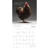 image Glamour Chicks 2025 Mini Wall Calendar Second Alternate Image width=&quot;1000&quot; height=&quot;1000&quot;