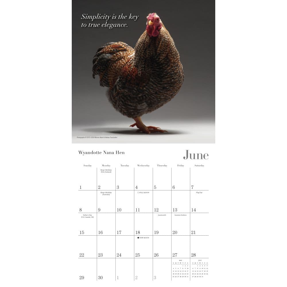 Glamour Chicks 2025 Mini Wall Calendar Second Alternate Image width=&quot;1000&quot; height=&quot;1000&quot;