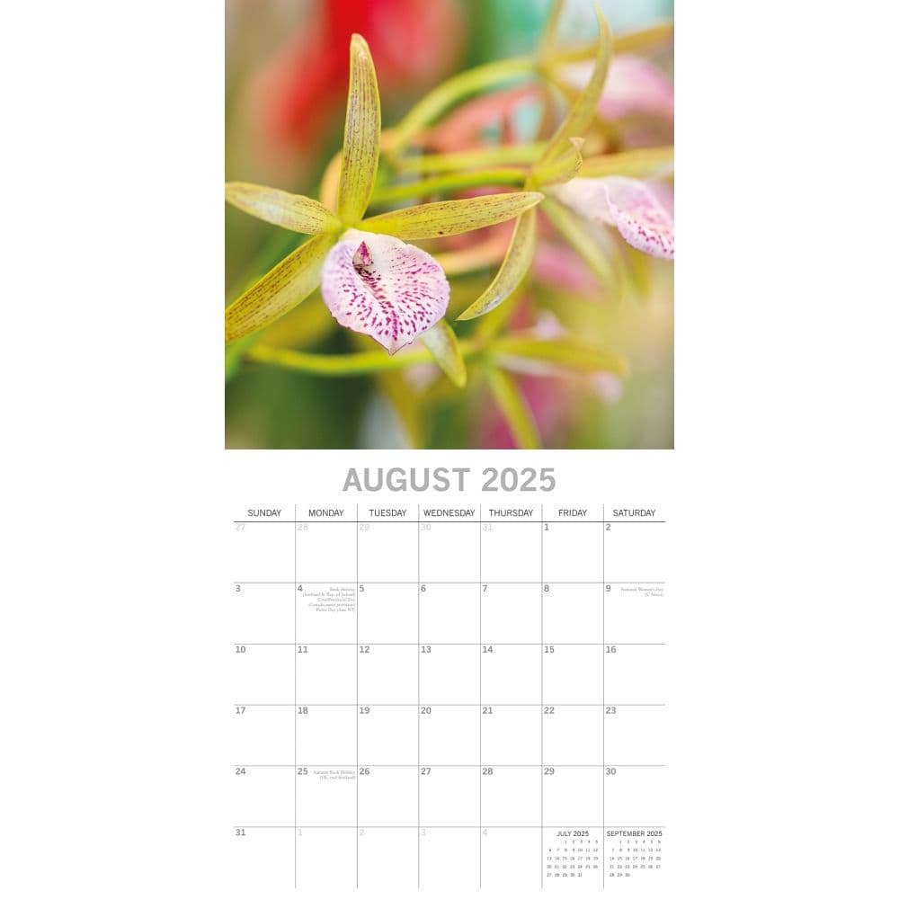 Orchids 2025 Wall Calendar Third Alternate Image width=&quot;1000&quot; height=&quot;1000&quot;