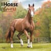 image Horse Lovers 2025 Wall Calendar  Main Image