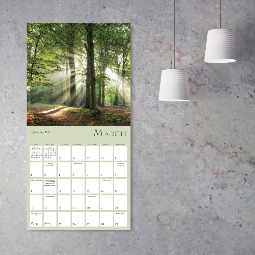 Enchanted Pathways Photography 2025 Wall Calendar Fourth Alternate Image width=&quot;1000&quot; height=&quot;1000&quot;