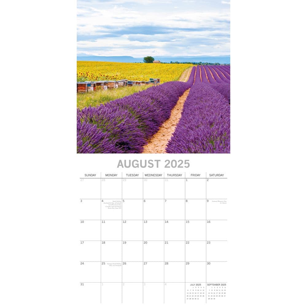 Lavender 2025 Wall Calendar Third Alternate Image width=&quot;1000&quot; height=&quot;1000&quot;