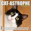 image Cat Astrophe 2025 Mini Wall Calendar Main Product Image width=&quot;1000&quot; height=&quot;1000&quot;
